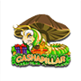 Cashapillar